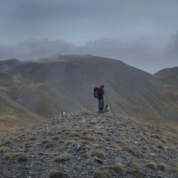 A SHEPHERD